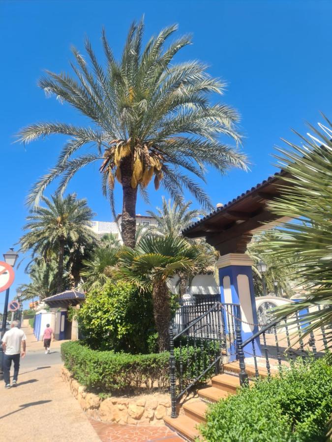 La Dama Apartment Torrevieja Exterior photo
